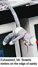 sock monkey on the edge of sanity